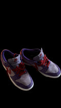 Dunks Size US Men 8.5